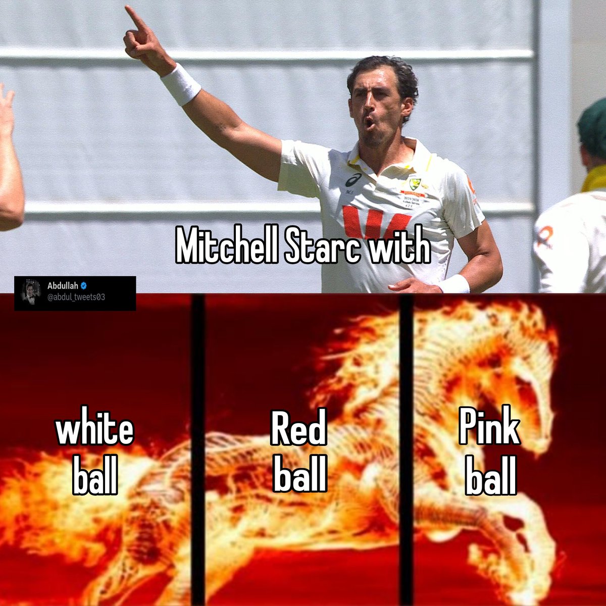 Mitchell Starc 🥶
#Ashes