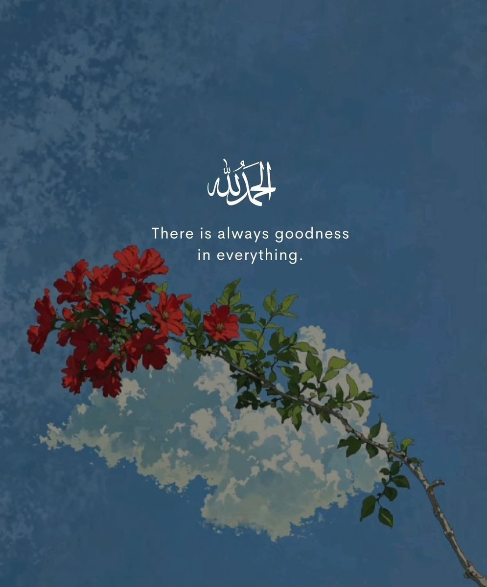 When you trust Allah, even the smallest moments shine with hidden goodness. 🙏🏽