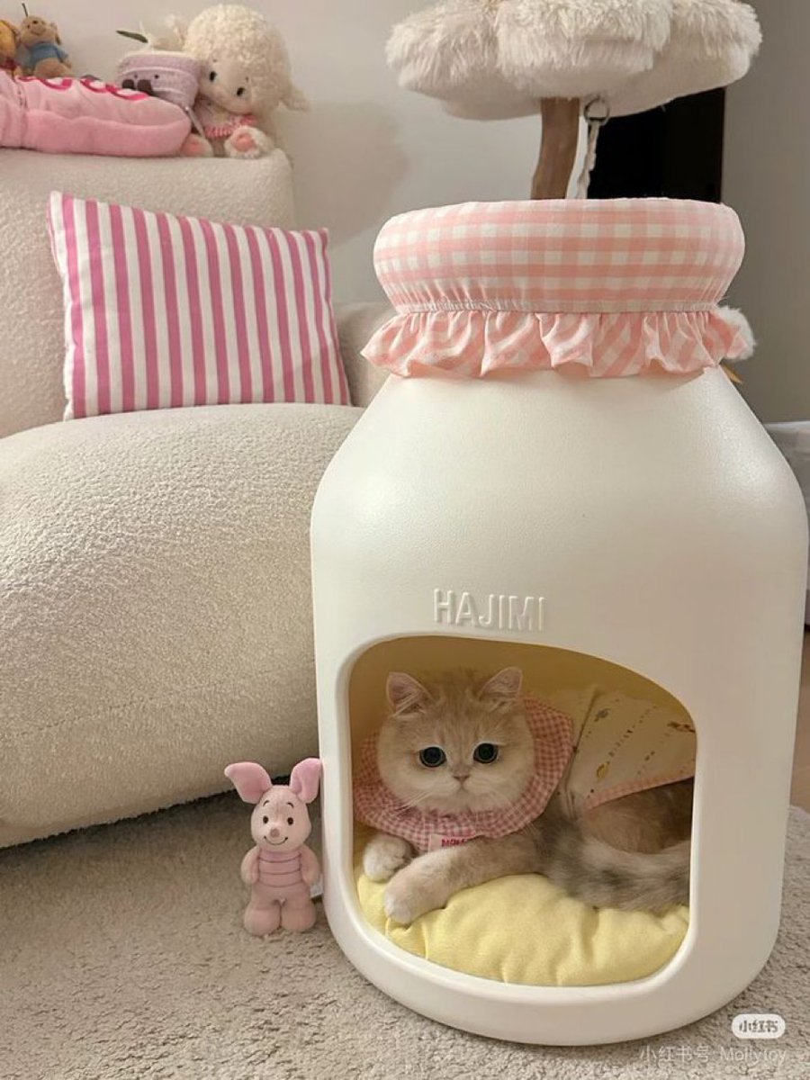 12月入って毎日眠いし寒いですね👶🏻💦⛄️🎧❄

体調崩されてる方もいらっしゃると思いますが今年も残り僅かなので僕も一緒にがんばろうと思いました有難う御座います皆様フォロワー様👶🏻✨( ΦωΦ )

#お仕事(  -᷄ω-᷅ )