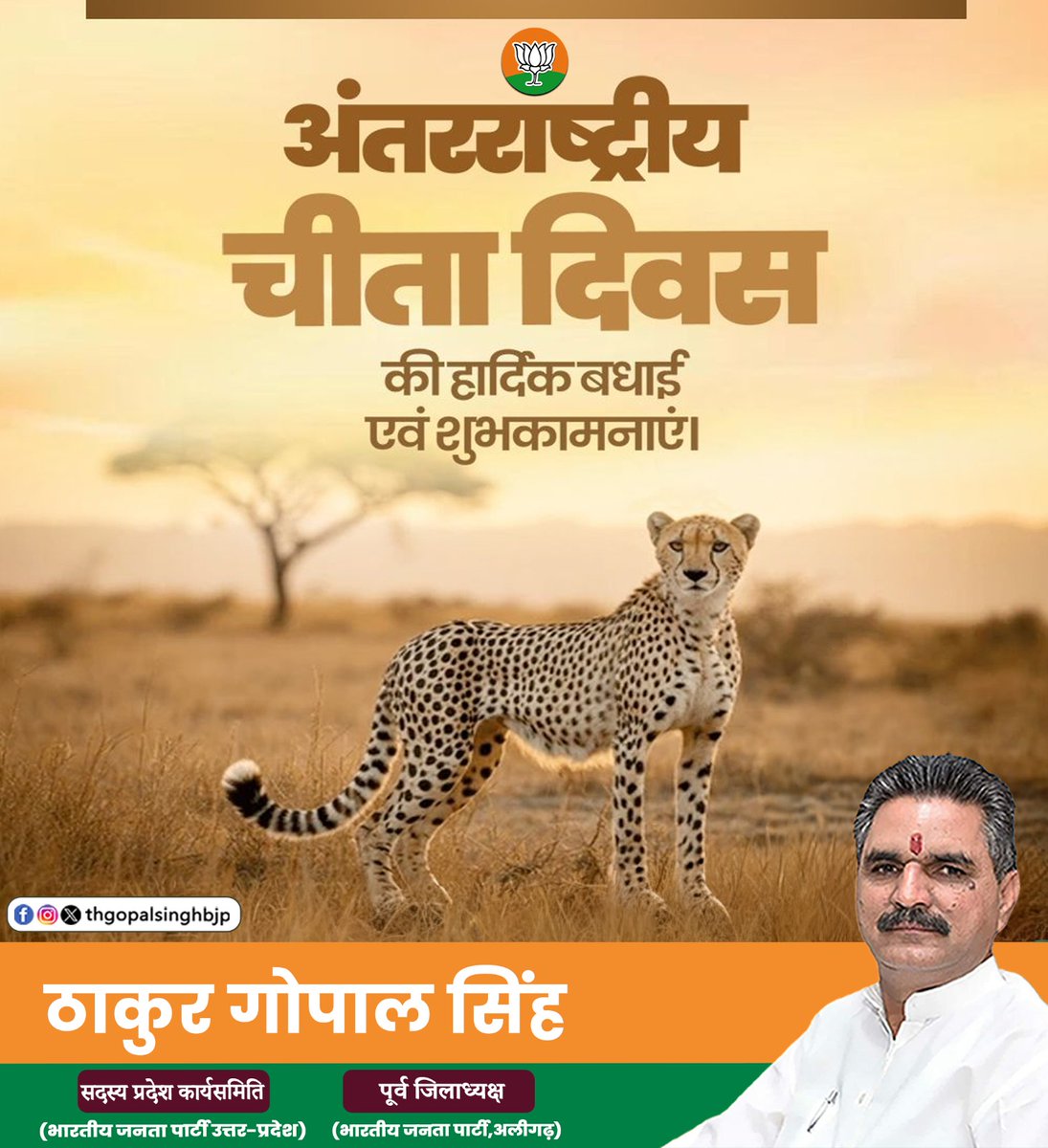 thgopalsinghbjp's tweet image. प्रकृति की गति के प्रतीक — चीता का संरक्षण, हमारा कर्तव्य।
अंतरराष्ट्रीय चीता दिवस पर आइए, वन्य जीवन की रक्षा का संकल्प लें।
#thakurgopalsingh #अंतरराष्ट्रीयचीतादिवस #वन्यजीवसंरक्षण #प्रकृतिकीरक्षा
