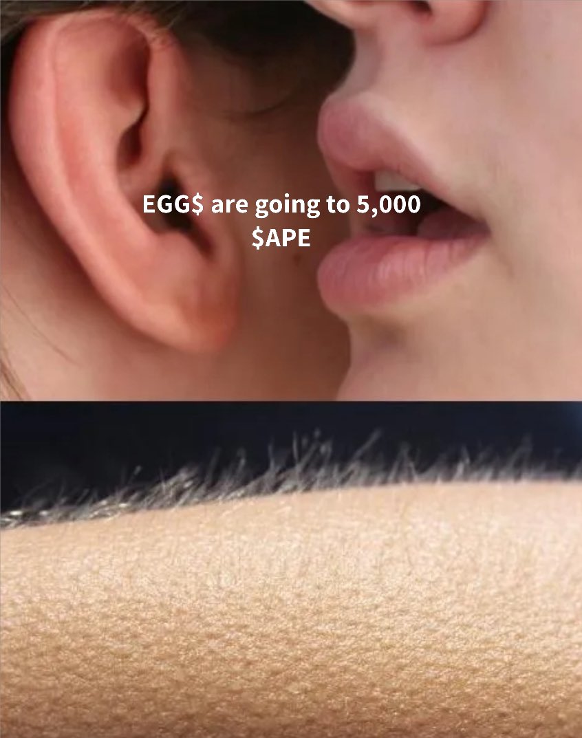 MichaelRay (@cryptojeweler) on Twitter photo 