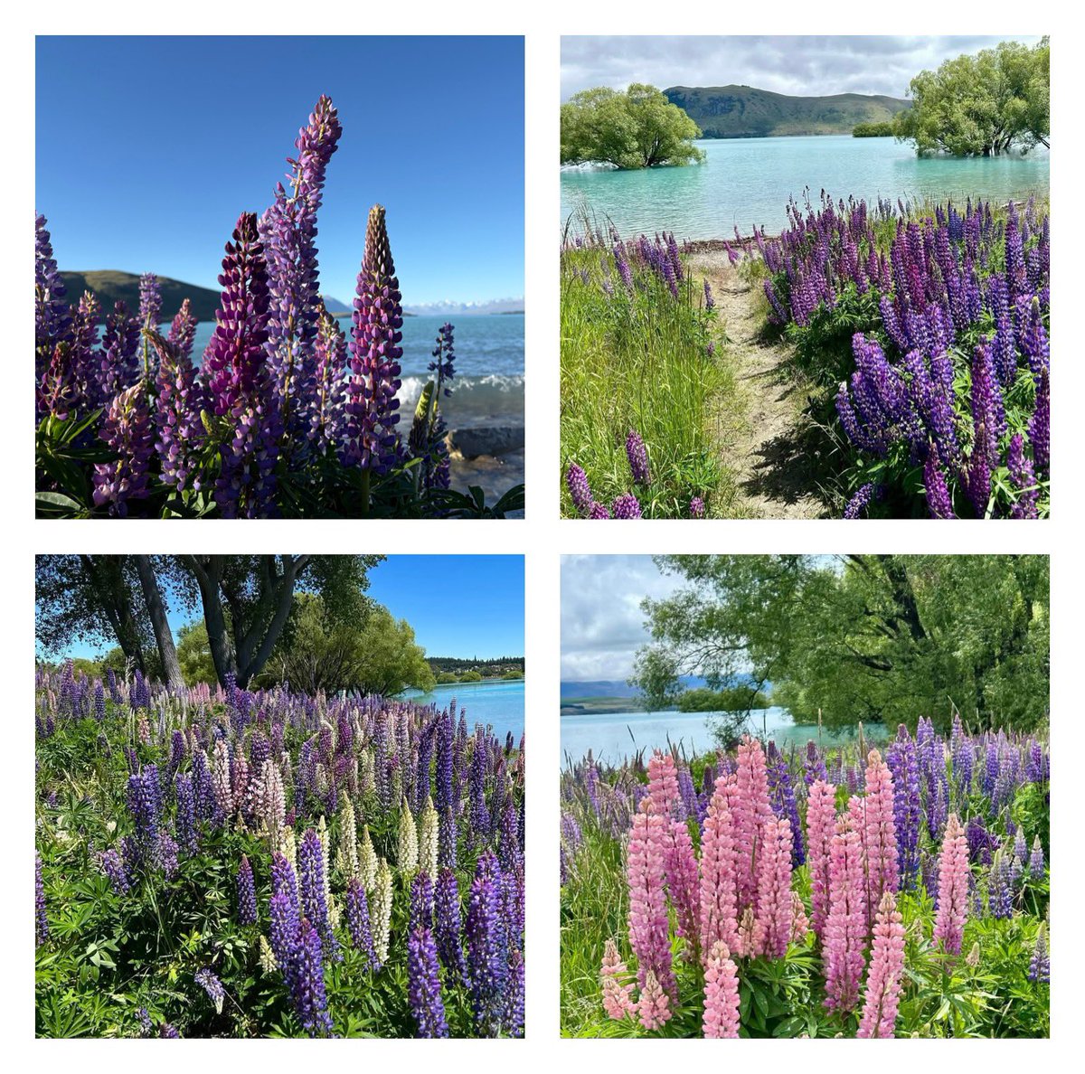 A few shots from my little break at Lake Tekapo.
