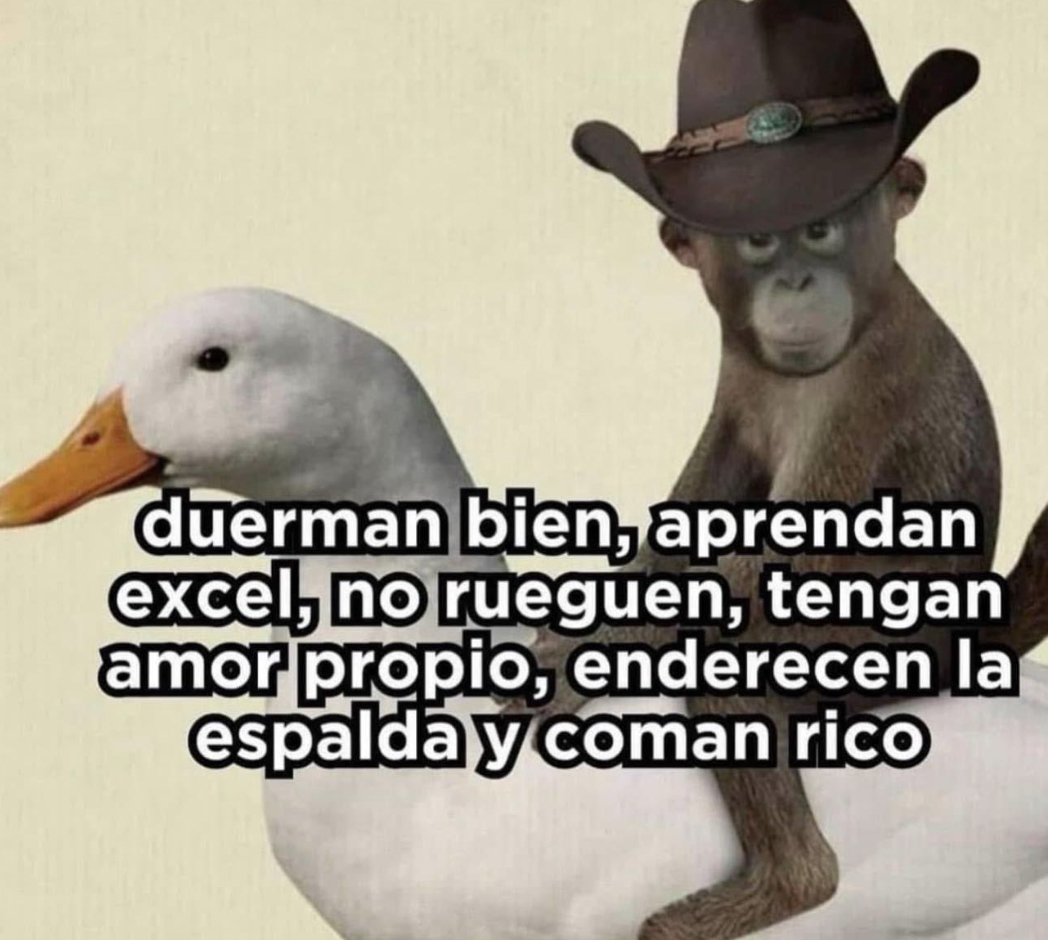 El Guarromántico tweet media