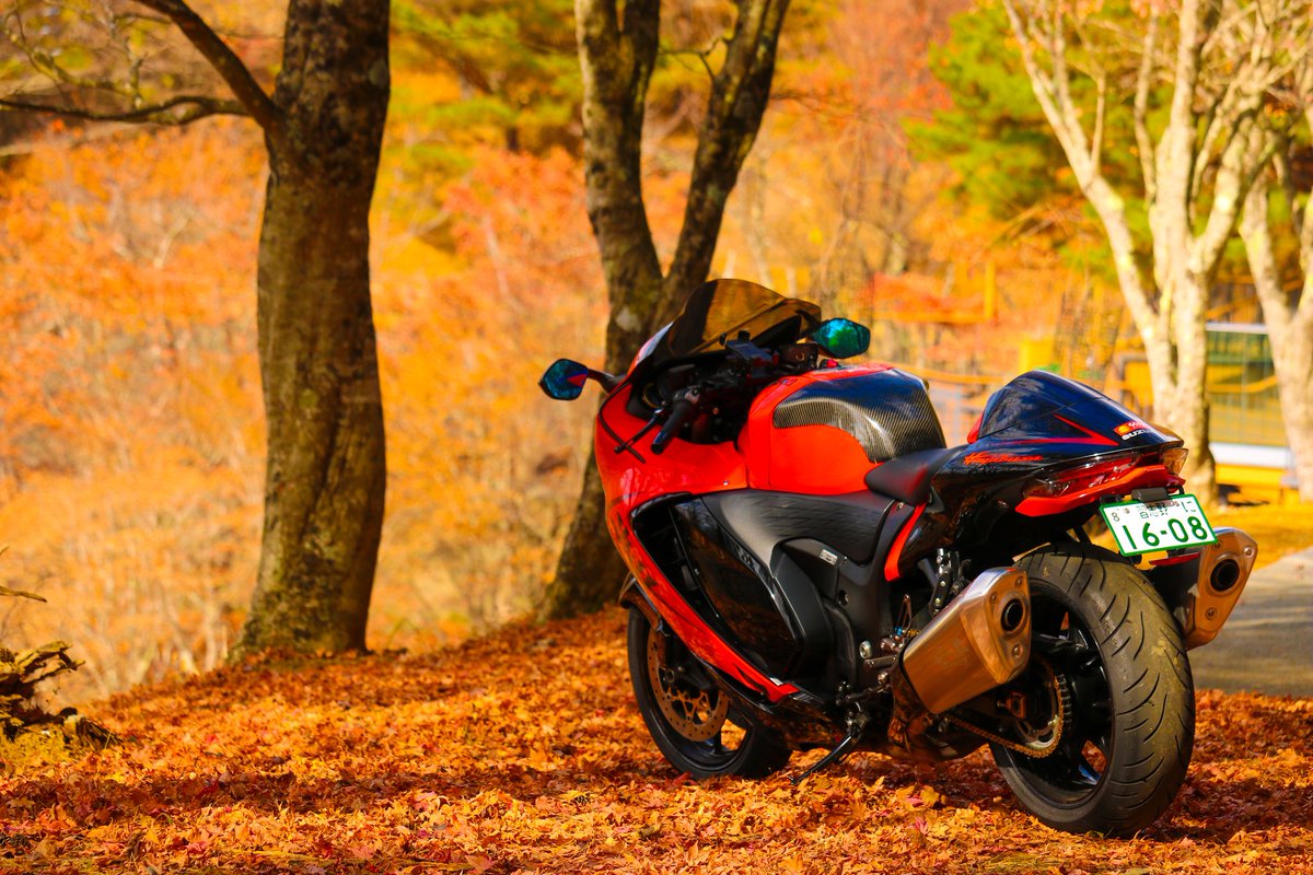 mimi( ◔︎㉦◔︎ ) (@mimi_mimi250) / Posts / X