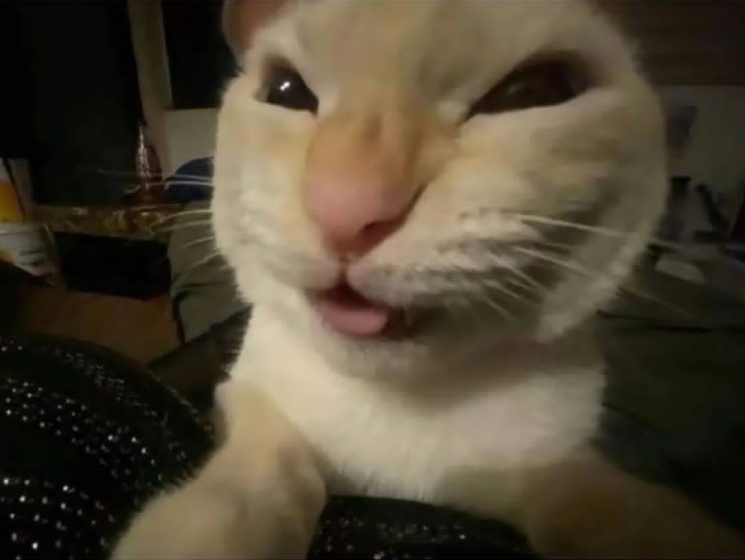 117Jeaa's tweet photo. @Reika7u7 Ya se que pedirle a Santa https://t.co/S3EWgR5yAP