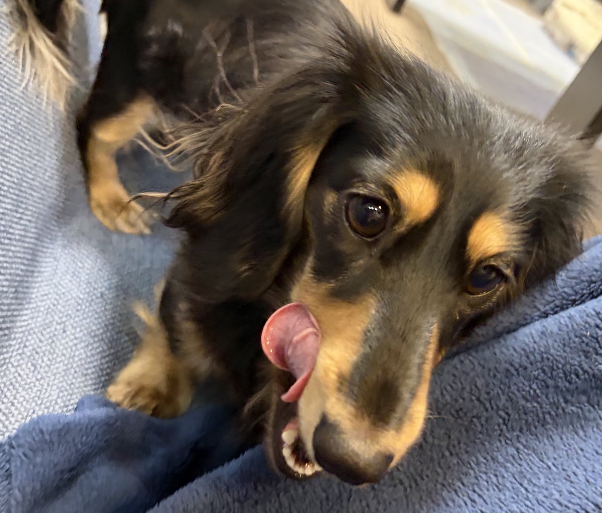 😛