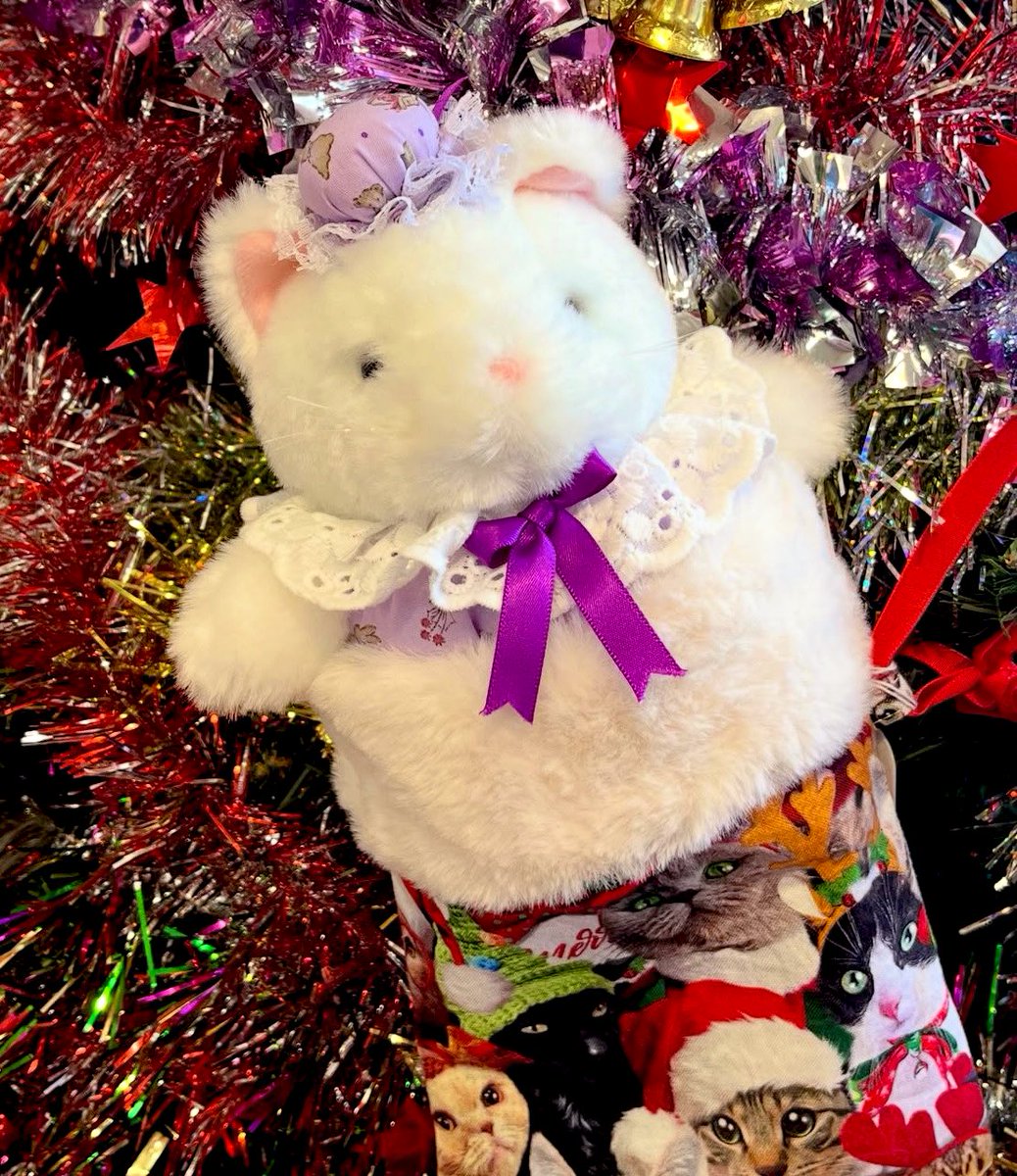 オープンしてます〜🎉 クリスマスツリーの飾り付けもできてきました