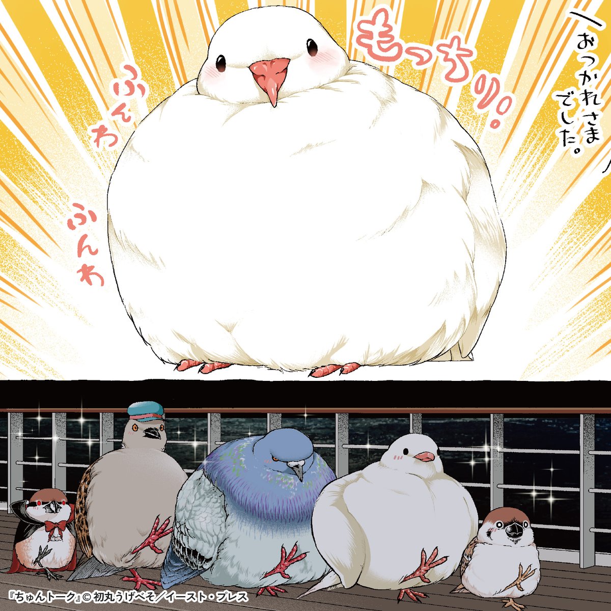 🐤最新話公開中🐥／ 『#ちゅんトーク』 著：初丸うげべそ (@ugebes0