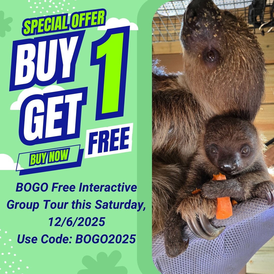 The otters love enrichment time! Enrichment keeps an animal's day interesting and is just as essential to animal welfare as nutrition and veterinary care.
#otter #enrichment #conservation #chasesanctuary #cuteanimals