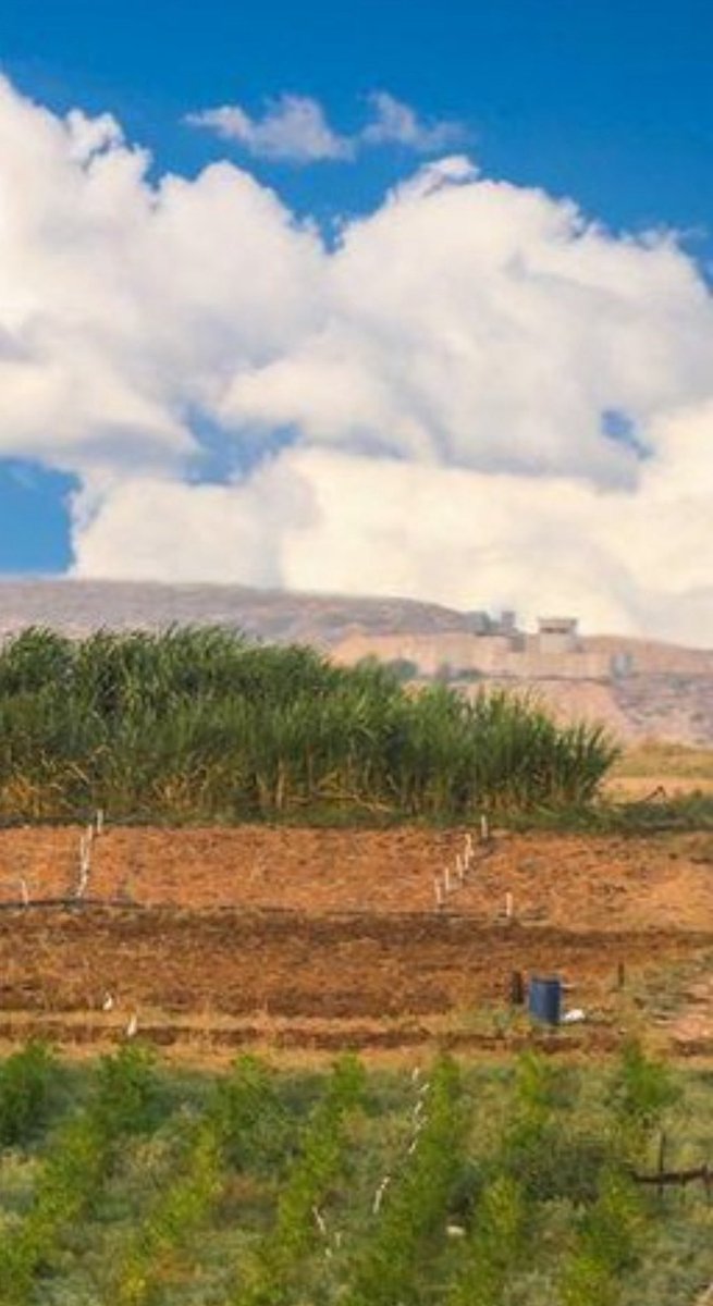 Whenever Palestinians share beautiful slivers of Gaza before Israel destroyed it, Zionists screech “oH sO It WaSnT aN oPeN AiR pRiSoN!!!”

In this photo you can literally see the wall and the Israeli guard tower in the background. The beauty of Gaza was despite imprisonment.