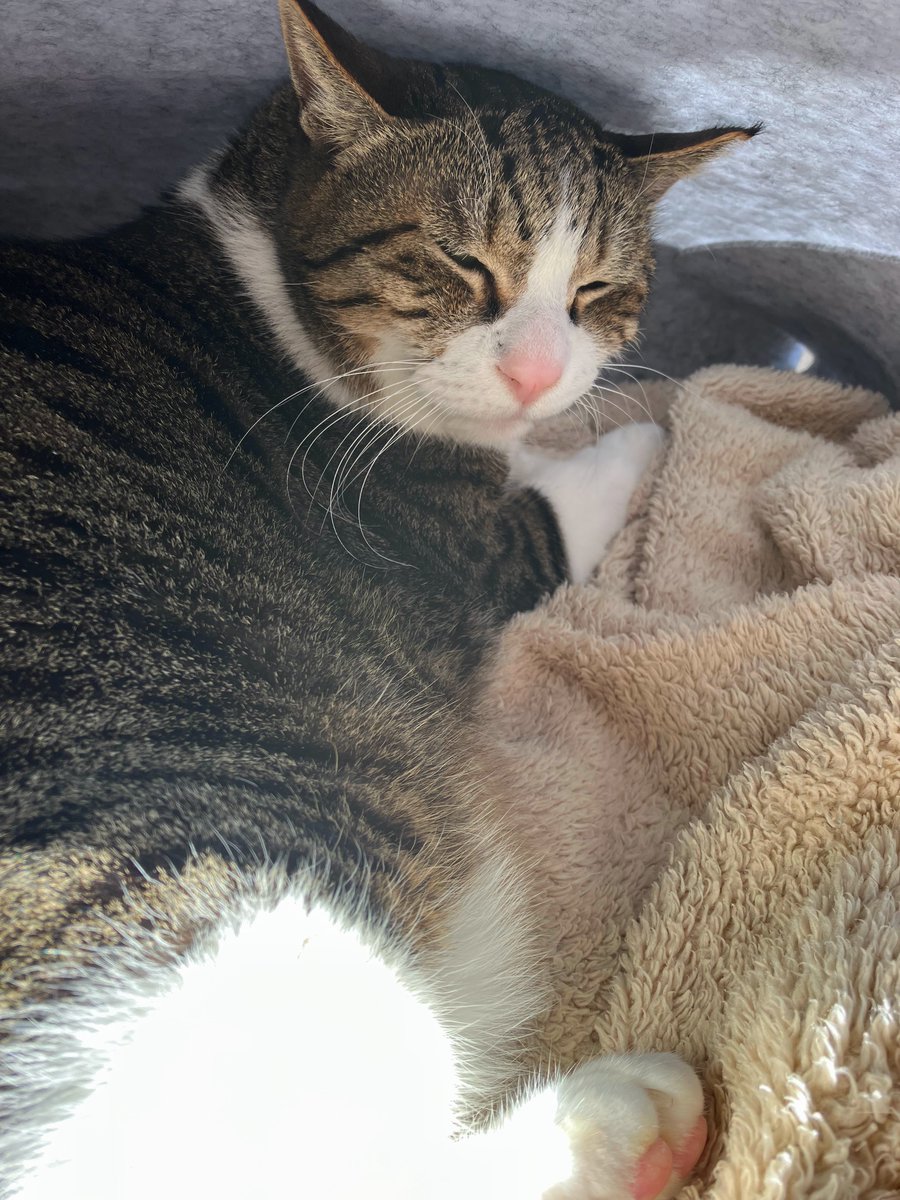 panuchi3 (@panuchi33) / Posts / X