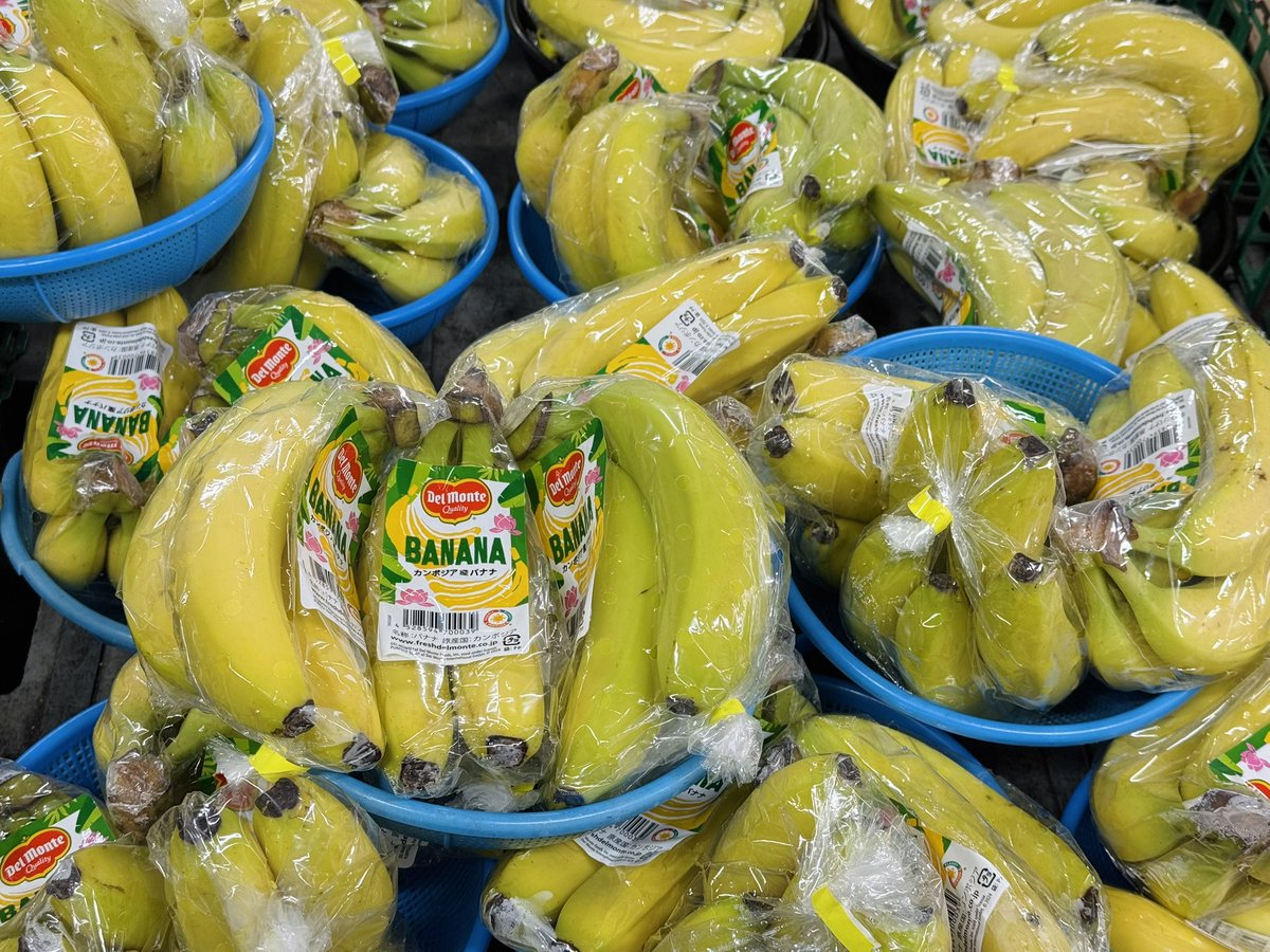 🍌✨ 本日の特売情報（亀戸） ✨ 🍌 バナナ 食べやすくて人気の定番