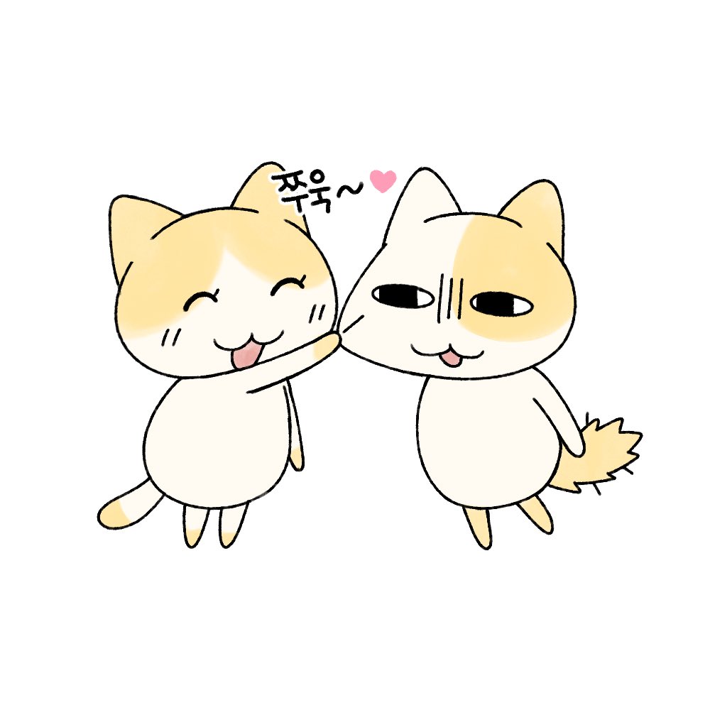 묘냥이와 멍구 (@myo_n_meong) on Twitter photo 