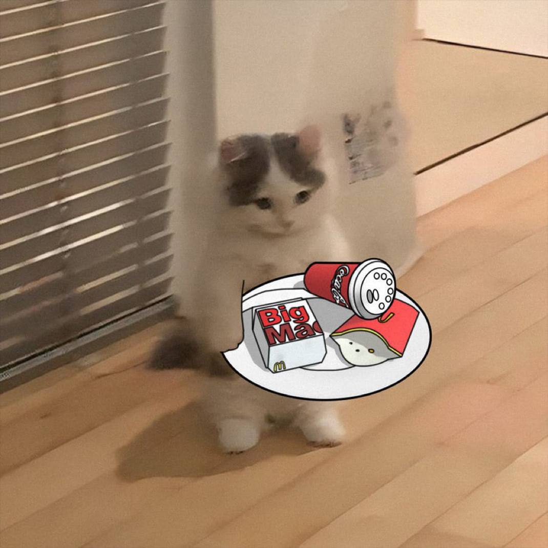 <a href="/YokaiCapital/">Yokai Capital</a> Michi