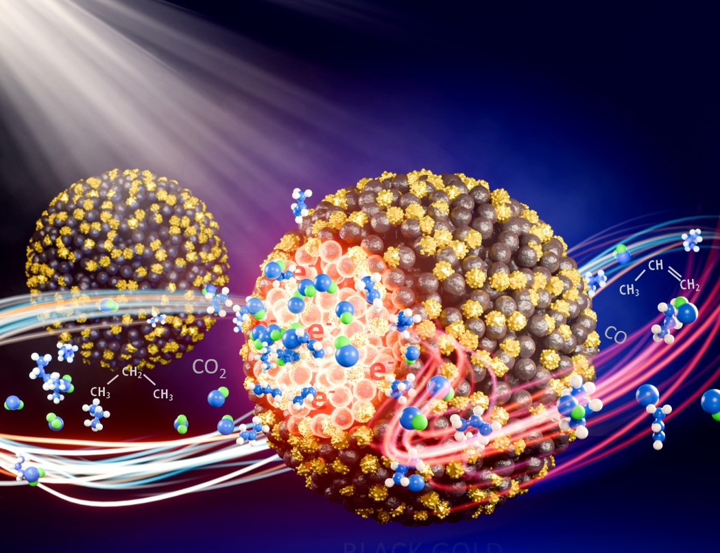 Vivek Polshettiwar tweet media