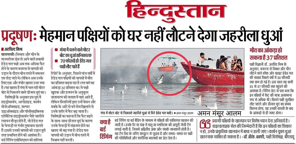 amanalam40's tweet photo. प्रदूषण: मेहमान पक्षियों को घर नहीं लौटने देगा जहरीला धुआं..
#Kashi https://t.co/bqEmrz3Qmq