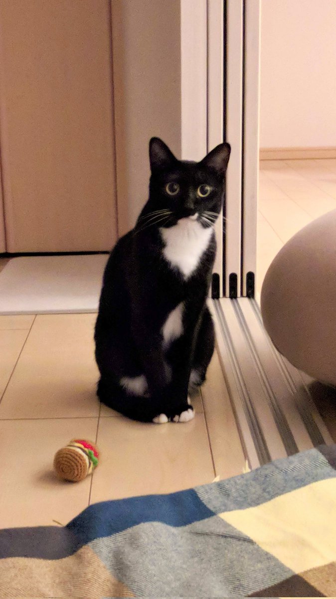 凪 nagi🐈‍⬛ tweet media