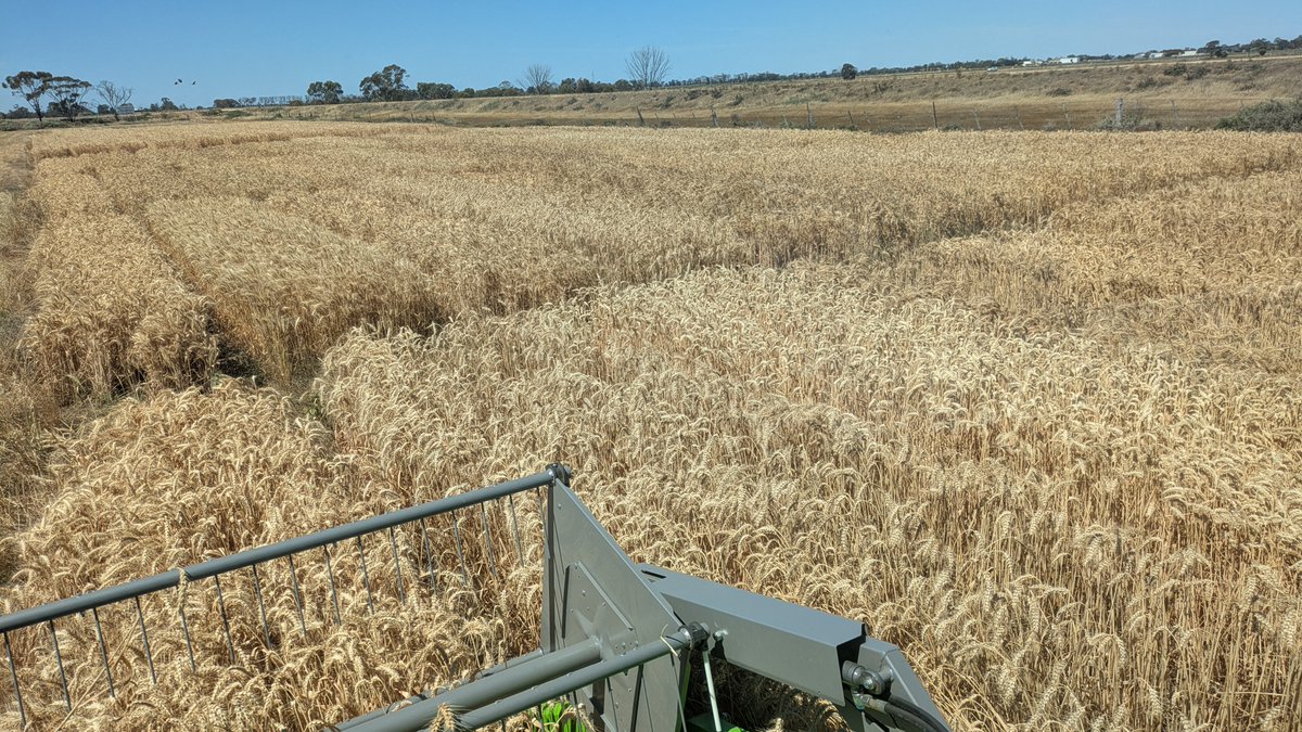 Irrigation Farmers Network (formerly ICC) tweet media