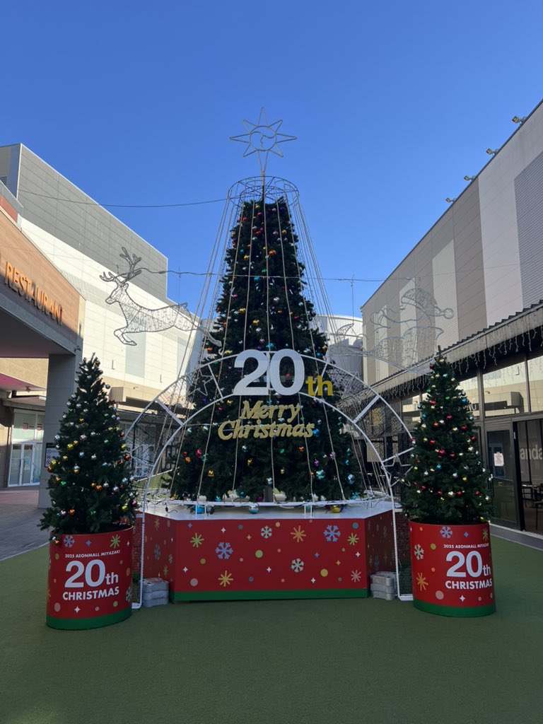 クリスマスですね🎄