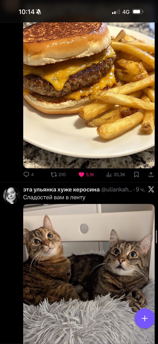 Не хочу хвастать и сглазить, но у меня в ленте котики и еда 
🧿