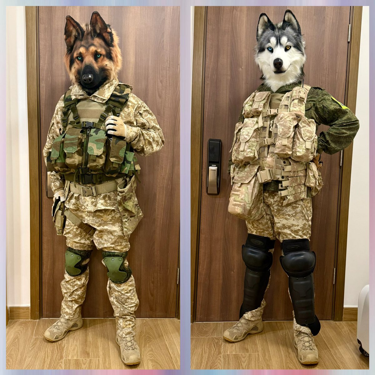 Lionheart and Elena
First time to Syria in 2010s
#furry #fursuit #FursuitEveryday #GermanShepherd #Husky