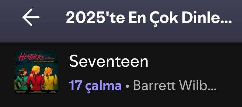 How did i end up listening to seventeen 17 times this year omg😭😭😭😭