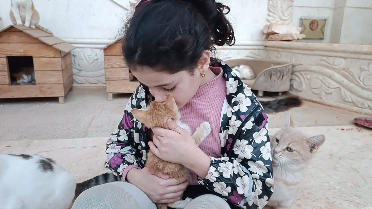 SyrianCats's tweet image. With the Cat Man of Aleppo cats.
.
#goodmorning #syrianchildren #happycats #syria