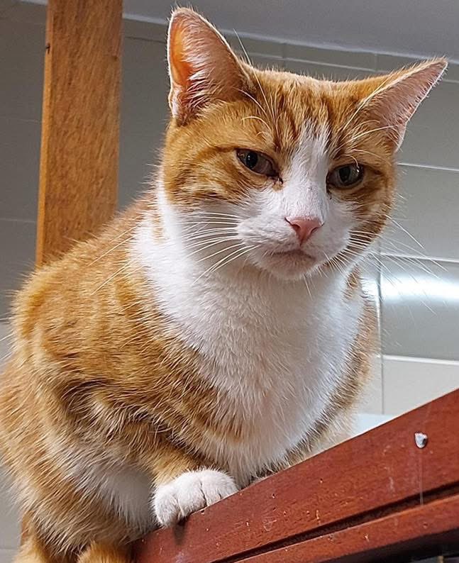 Good morning welcome to Tippetty tap tap Thursday 

People can look perfectly fine on the outside
But once you talk to them, you realise they’re carrying stories, struggles &amp; emotions you never noticed
That’s why kindness is important
It costs nothing, yet it can mean so much