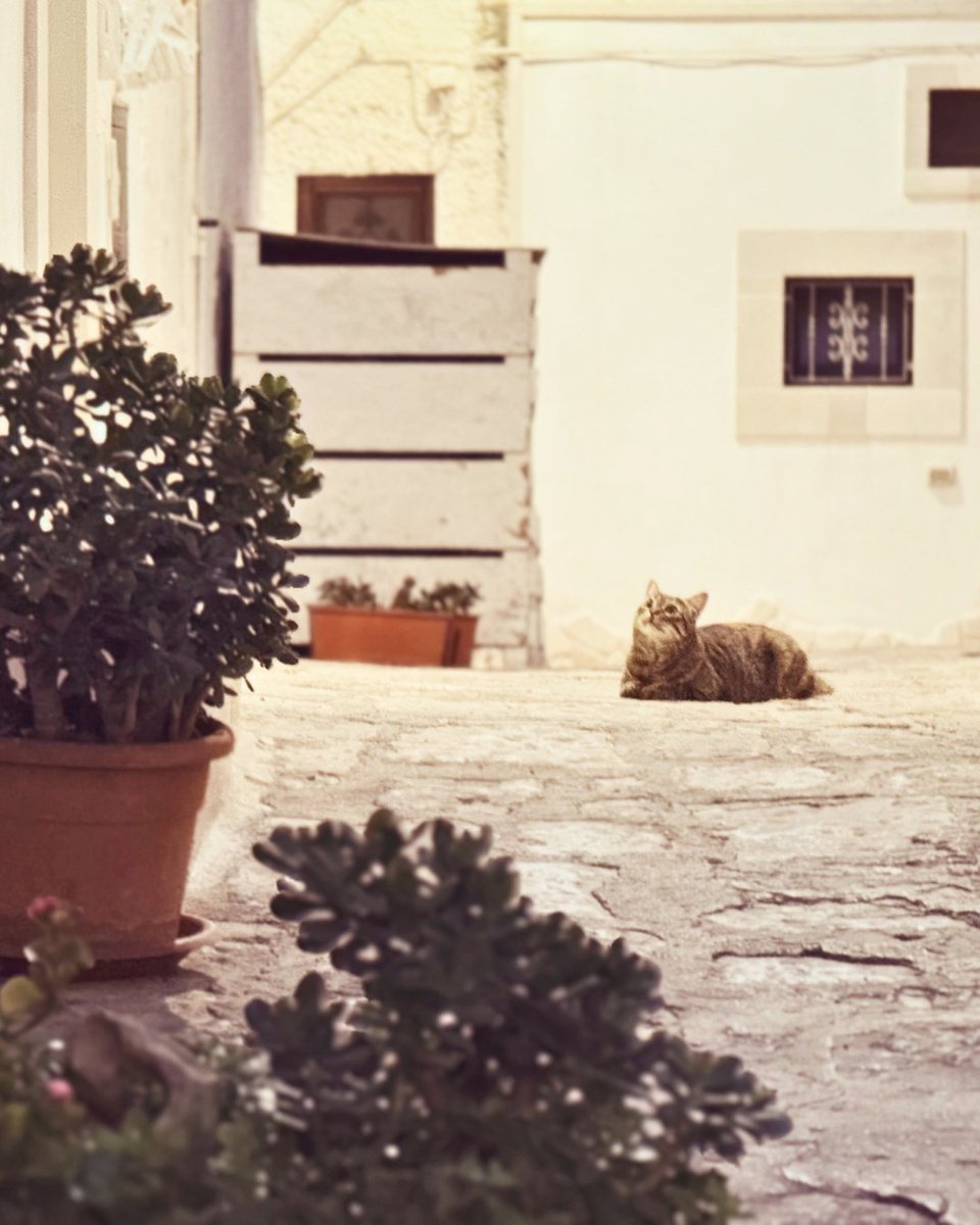 Don't Wait To Wander! tweet media