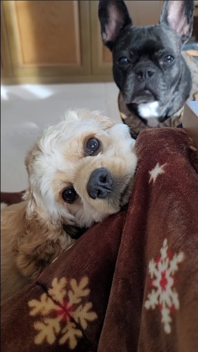 バーバにだっこで大サービスでしゅよ💛