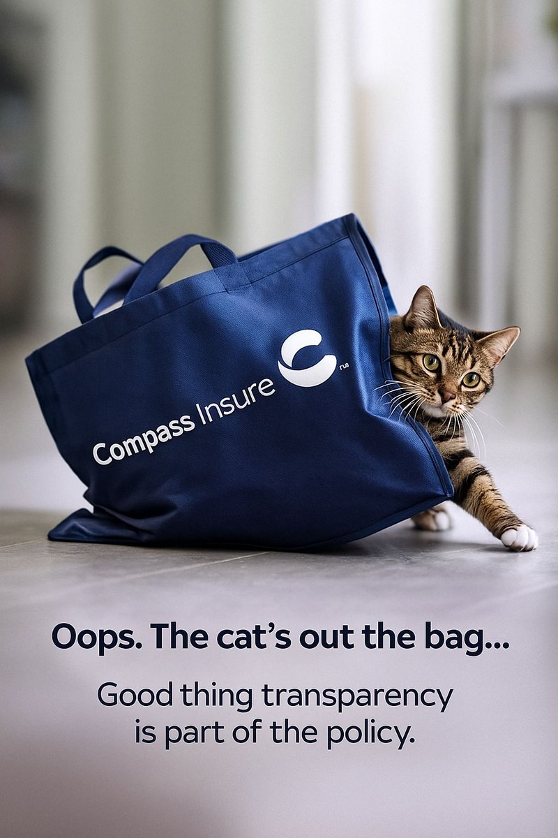 Compass Insure (@compassinsureza) on Twitter photo 