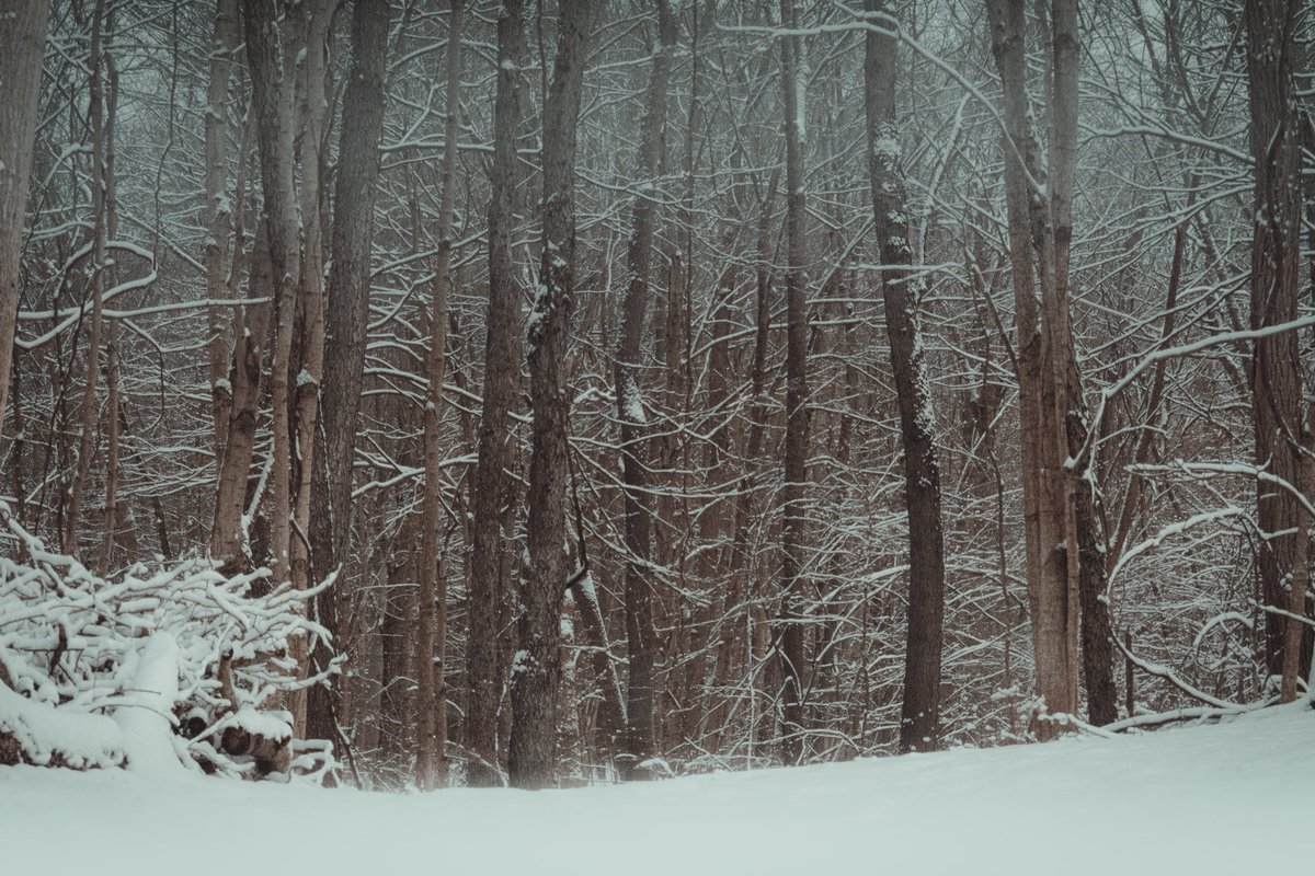 10/10 bleedout spot 

Where a man’s true end belongs 

Cold embrace of winter and the beauty of the snow