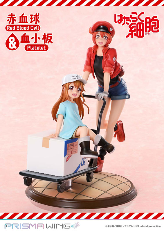 Nin_Nin_Game's tweet photo. A heartwarming duo arrives!🩸
PRISMA WING brings Red Blood Cell & Platelet to life in a beautifully detailed non-scale figure, capturing their charm and gentle expressions.
Pre-order now 👉 https://t.co/uRmqa83Wxa
#CellsatWork #HatarakuSaibou #RedBloodCell #Platelet #PrismaWing #Prime1Studio #NinNinGame