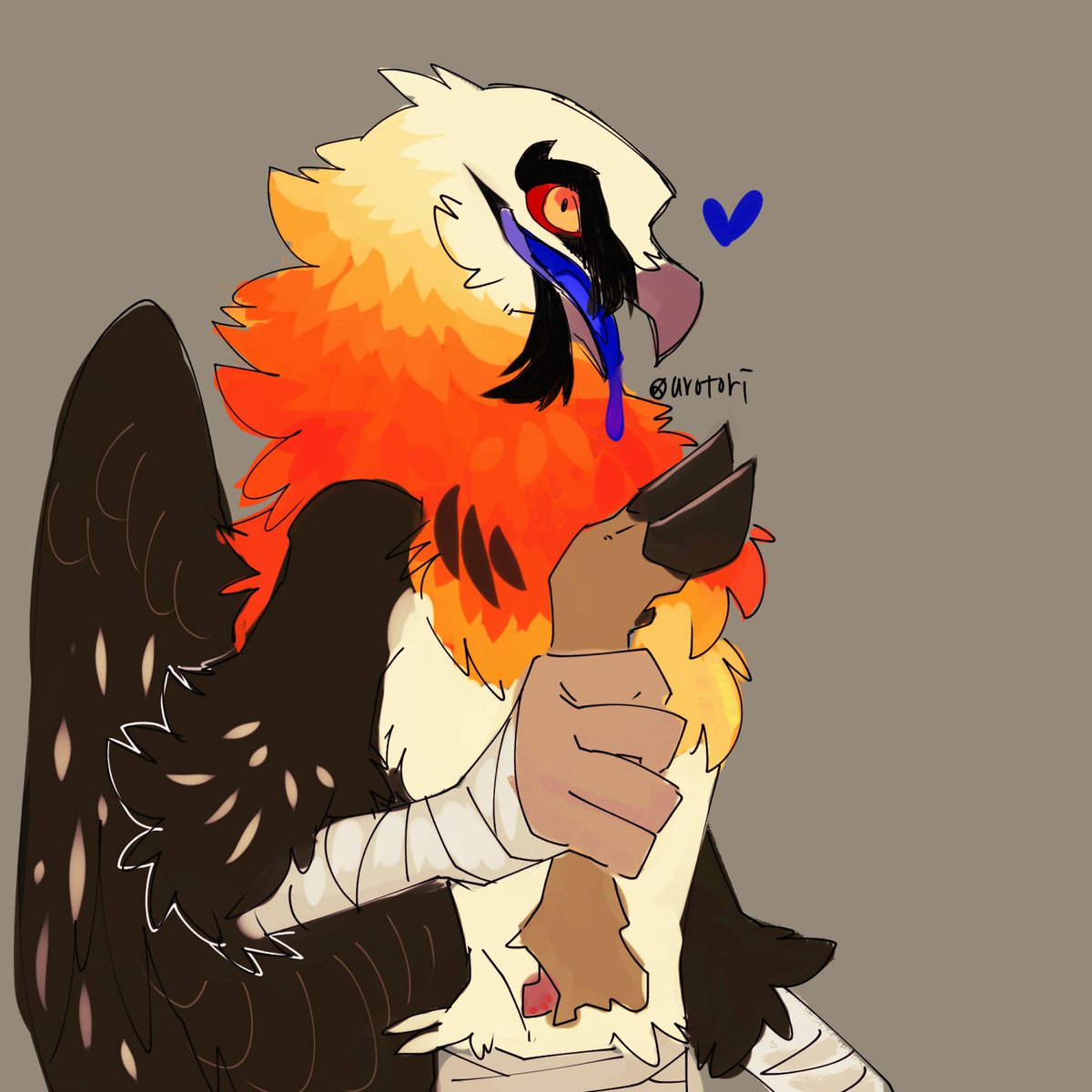 ウロトリ/urotori🪶 tweet media