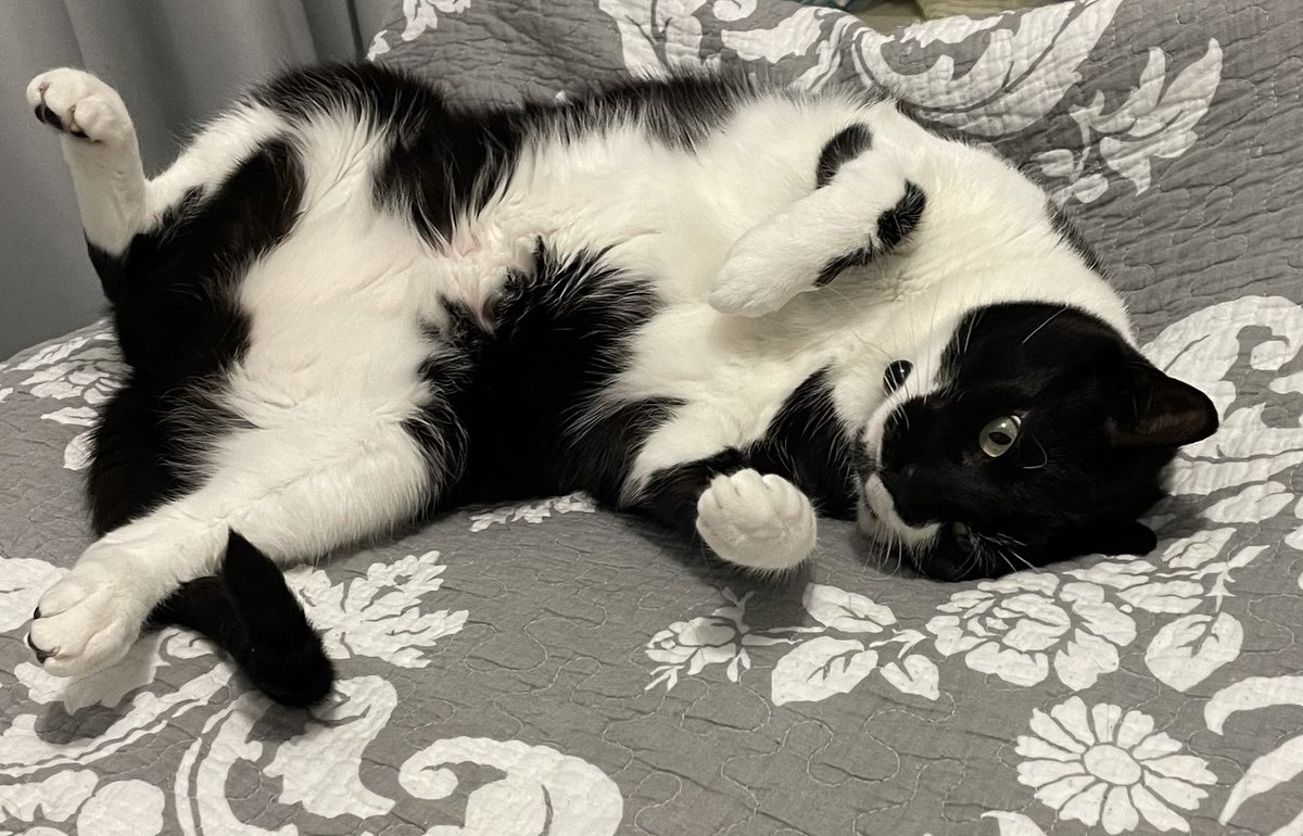 <a href="/biancosayshello/">Bianco 🤍</a> Can ime com? Ime basikilee an clone…