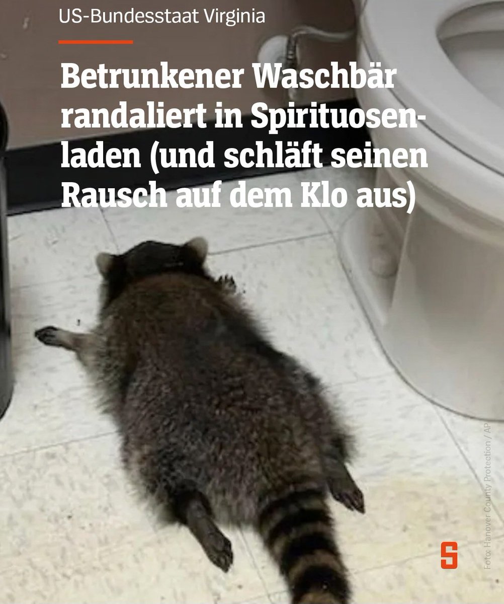 Er ist wie ich
