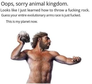 <a href="/DarkanXd/">Darkan</a> SÍ, EXACTAMENTE ESTO.