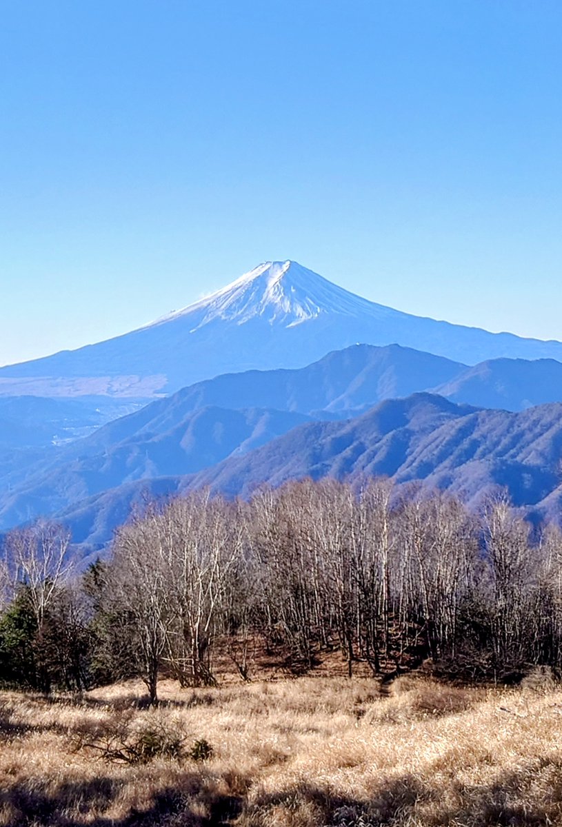 だまた(*´-`)投資垢 (@DamataFund) / Posts / X