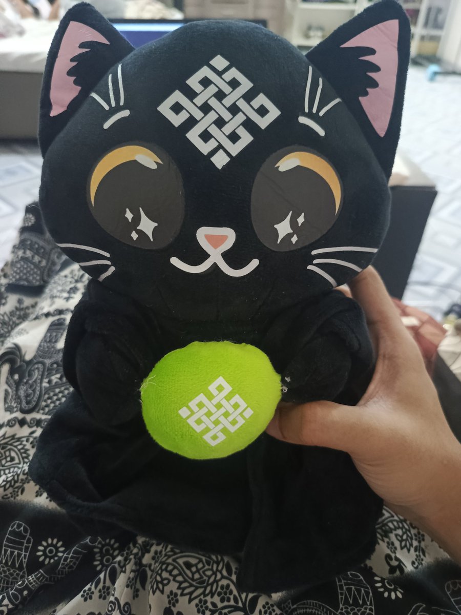 QtJiro's tweet photo. Gmeow

How's your Thursday going fellow rituals? 

Today, I'm chilling with my siggy plushie while at home 💚
@ritualfnd @ritualnet https://t.co/TcgyPKPFaf