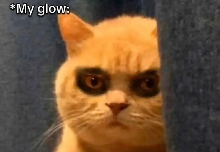 sauravonweb's tweet photo. Them: Hardwork gives you a special kind of glow on your face