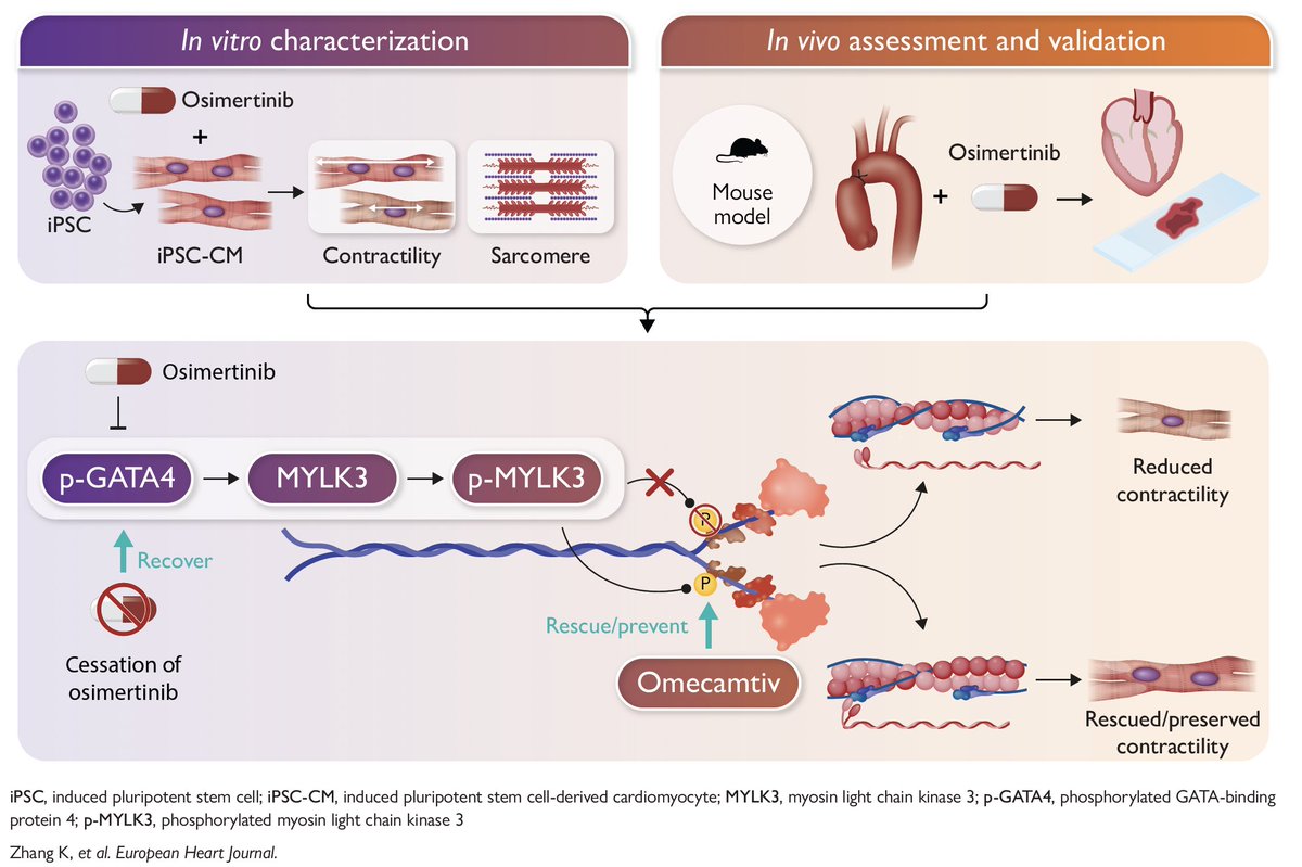 June Rhee tweet media