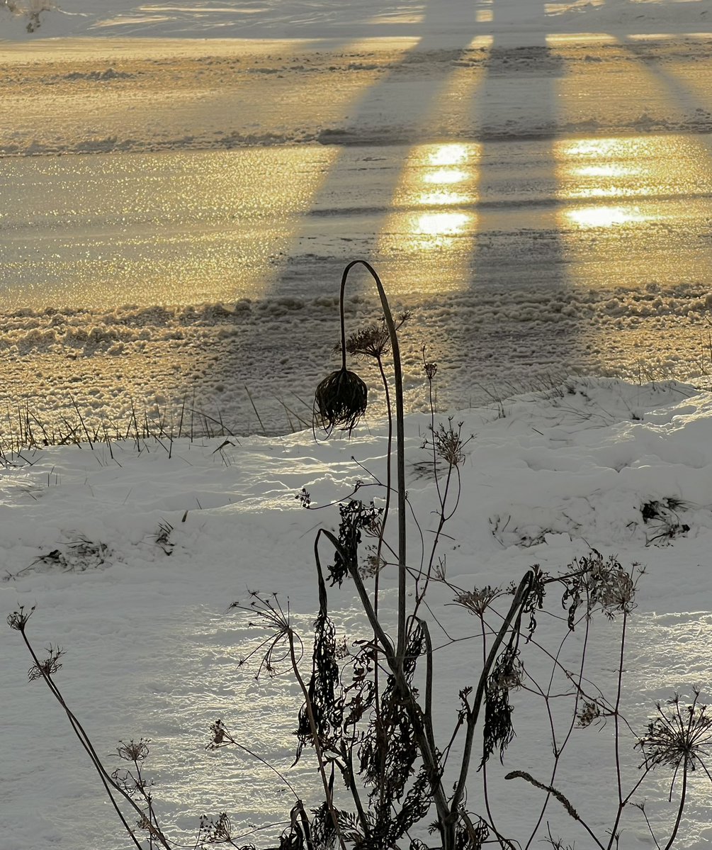 ゆず⁺ #私の今日の1歩 (@lqWu6Ula6oDecGg) / Posts / X