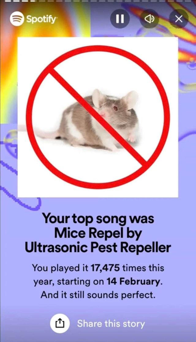 Kim KittyLewd tweet media