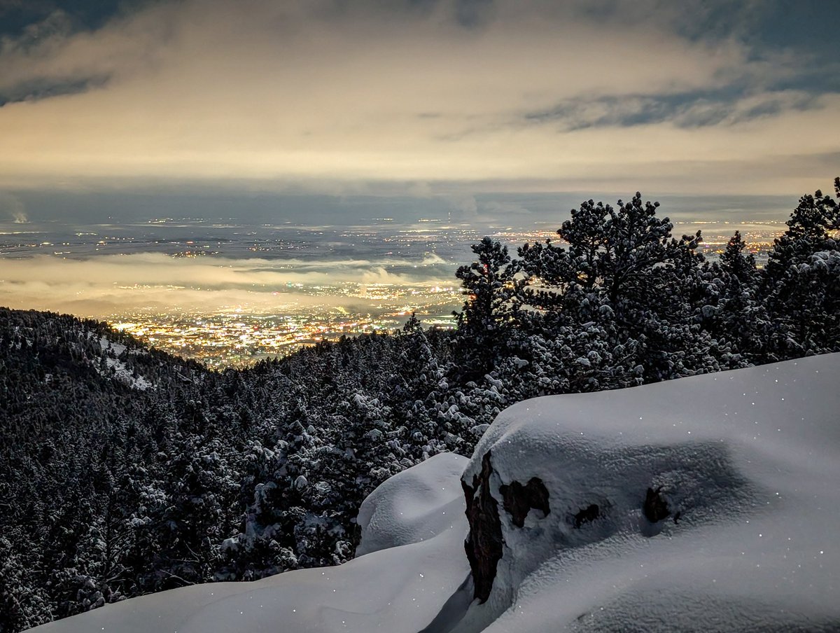 Ryan Vandersmith tweet media