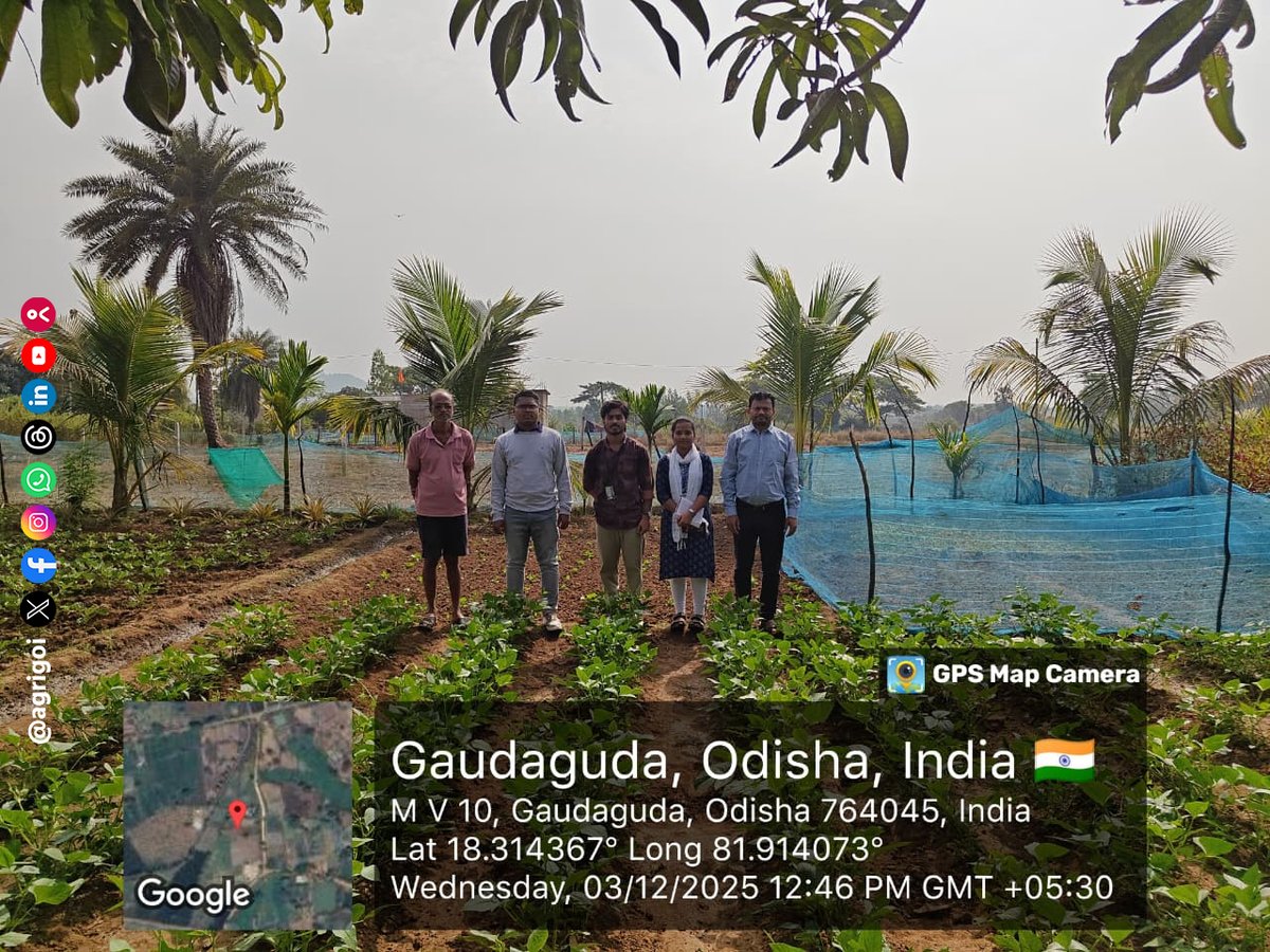 AgriGoI's tweet image. Central Nodal Officer of PM Dhan Dhanya Krishi Yojana #PMDDKY visits #Malkangiri.
Integrated Farming Systems with vegetable &amp;amp; Ragi cultivation, poultry, farm ponds &amp;amp; goat rearing- all in convergence. 

#AgriGoi #DhanDhanyaKrishiYojana #RagiCultivation