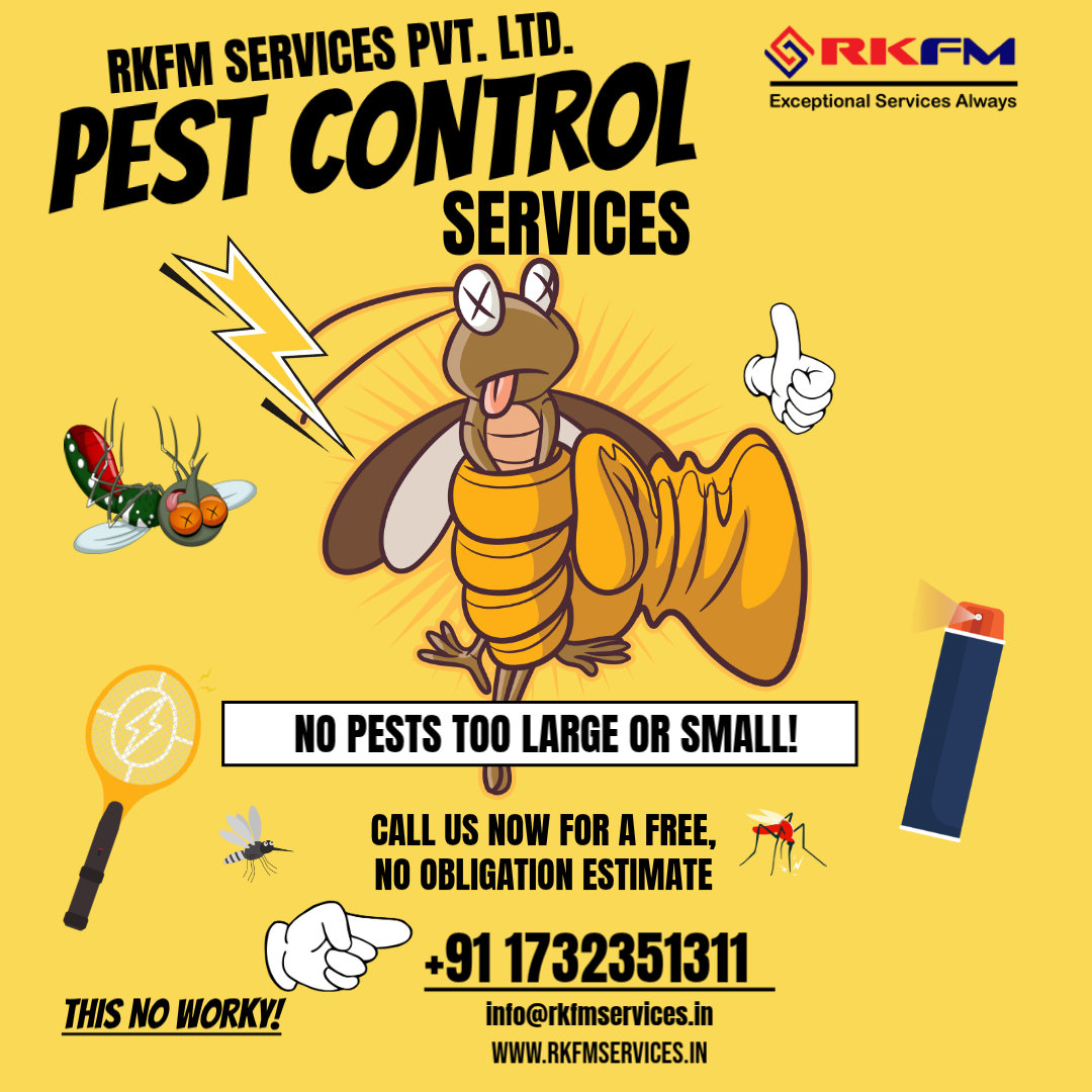 rkfmservices's tweet image. Protect your property from pests before they cause damage! Our advanced pest control treatments give long-term results. Book your inspection today!
#PestInspection #PropertyCare #LongTermProtection #SmartCleaning #PestExperts #SafeSolutions #HealthySpaces #PestTreatment