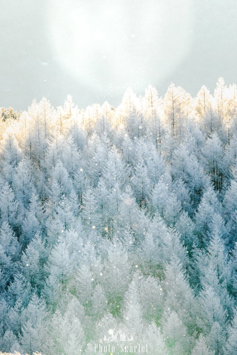 ありさ (@yCfE4B7geHhXyoO) / Posts / X