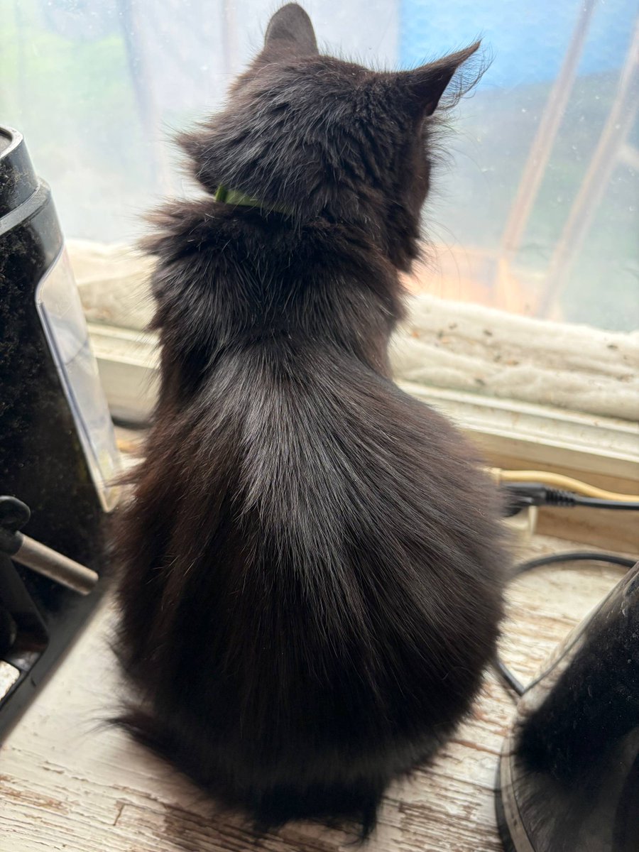 Tier_Kh's tweet image. Шановні, маємо потребу у наступному:
1. EcoFlow DELTA Max Extra Battery (49к)
2. Стабілізатор напруги Элекс Engineering Гібрид У 9-1-40 v2.0 (13.4к)
3. 6 штук Mikrotik hAP ac2 (RBD52G-5HacD2HnD-TC) (17.4к)
4. 2 антени логоперіодичні (10к)
Разом: 90000₴
🫙:send.monobank.ua/jar/9riqGF9G1R