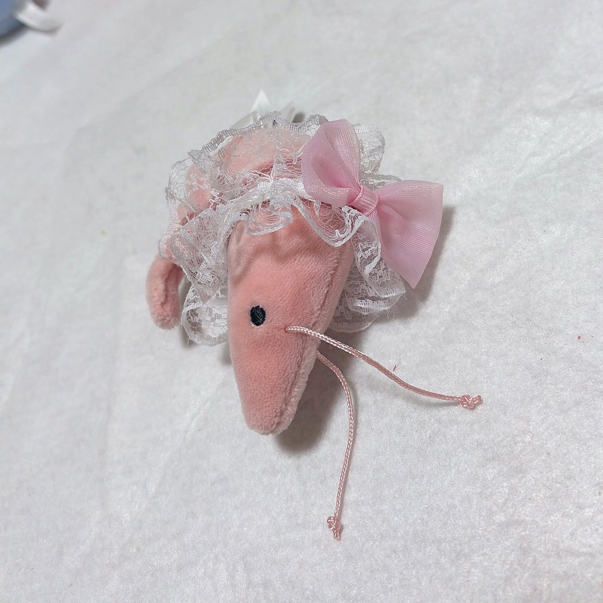 osushi____oO's tweet image. 🦐🎀°・*:.。.☆