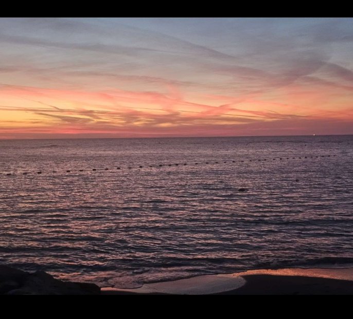 Daily Reminder:
Give today your softness — kindness has a way of coming back multiplied. 🌼✨